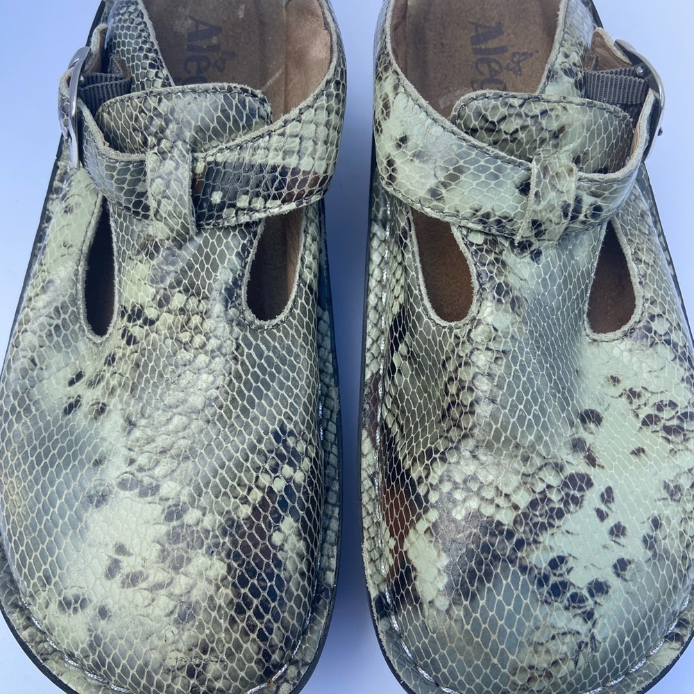Alegria snake Patterned Mary Jane Flats size 36/ US 5.5 -6
